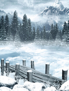 冬日雪景中的静谧木桥