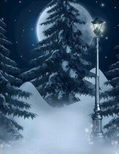 雪夜林间路灯与明月