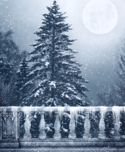 雪夜中的松树与朦胧月色