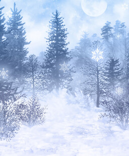 冬日雪林梦幻景致