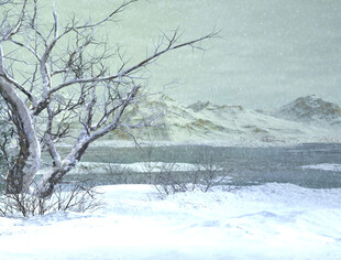 冬日雪景银白天地之美