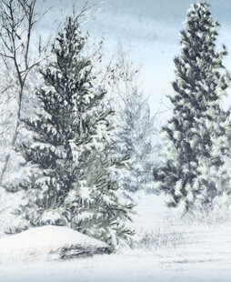 冬日雪景中的挺拔松树