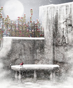 雪覆庭院景孤鸟栖长椅