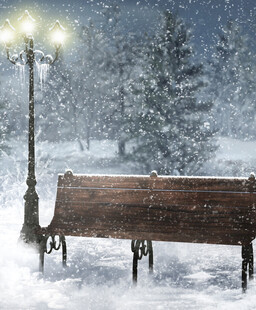 雪天中静谧的长椅路灯景