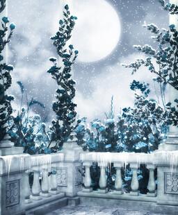 月夜下的城市景观