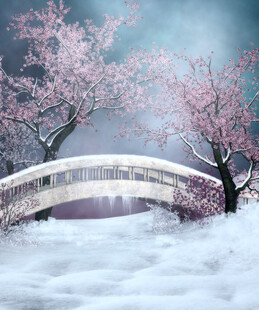 雪中日式樱花桥风景