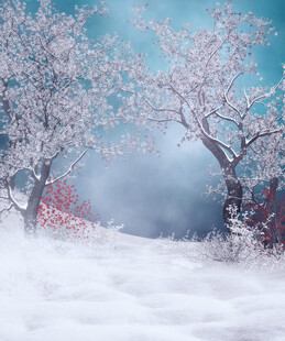 冬日雪林梦幻诗意景致