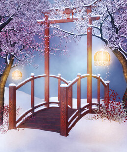 雪中日式桥景樱花相伴