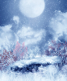 雪夜月光下的梦幻自然景