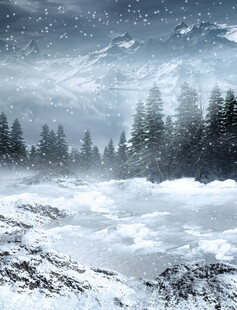 冬日雪景中的静谧森林