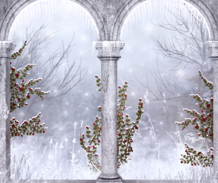 冬日拱门雪景植物景象