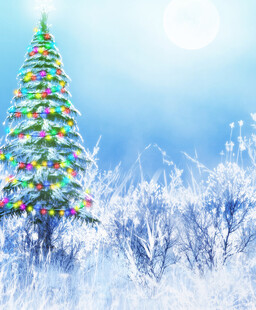 冬日雪景中的彩色圣诞树