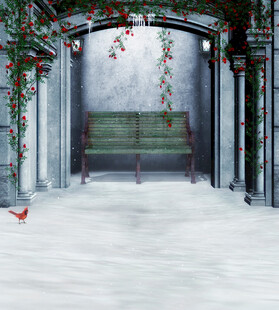 冬日庭院的静谧圣诞景致