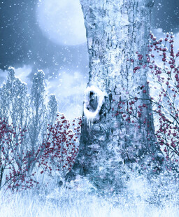 雪夜中的梦幻冰雪城堡