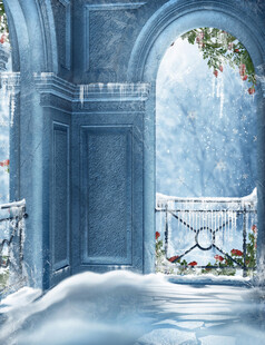 冰雪覆盖的梦幻拱形建筑