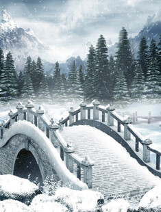 冬日雪覆拱桥山林美景