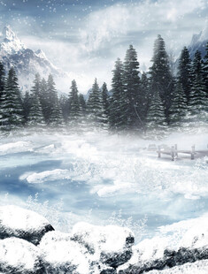 冬日雪景中的静谧山林