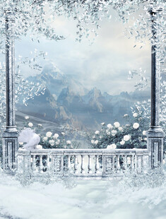 冬日雪景中的梦幻阳台景观