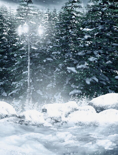 冬日雪景中的静谧森林