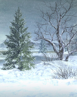 冬日雪景中的孤松