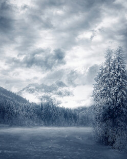 冬日雪景中的静谧山林