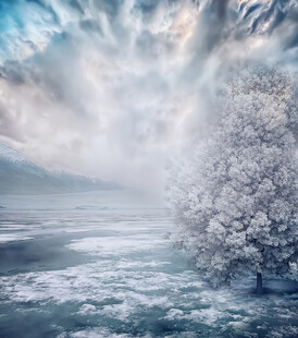 冬日冰雪旷野中的孤树