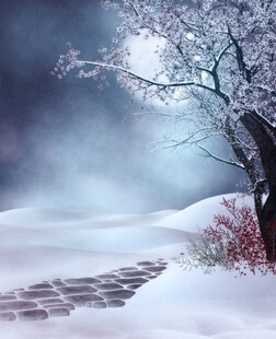 雪后静谧小路树影婆娑