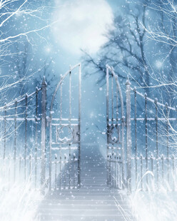 雪覆栈桥的梦幻冬日景象