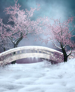 雪中日式樱花桥梦幻景致