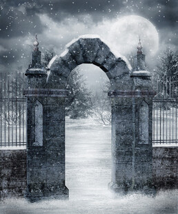 神秘雾中拱门铁艺围栏