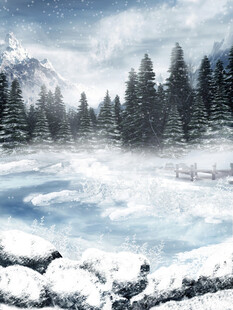 冬日雪景中的静谧山林