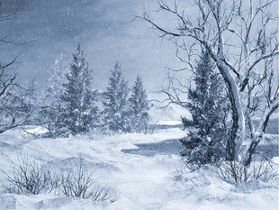 冬日雪景中的静谧林间小道