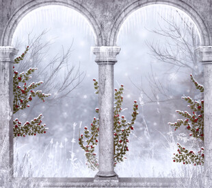 冬日拱门雪景梦幻景致