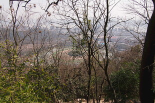 山林间萧瑟景象