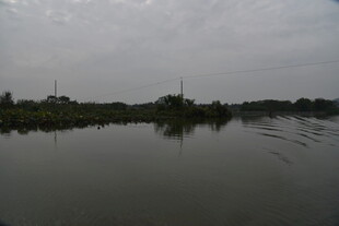 宁静湖面与远处景物倒影