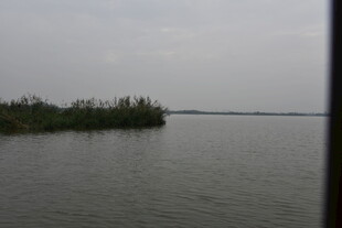 宁静水域中的绿植岛屿