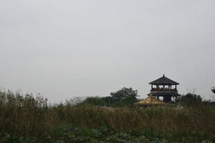 田野中的中式古建筑