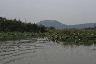 宁静河畔的自然景致