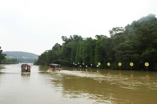 河流边的船只与茂密树林