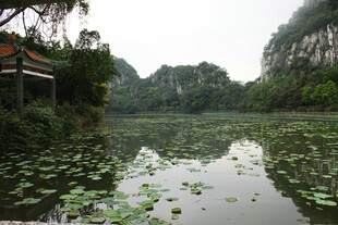 宁静湖景伴绿植与建筑