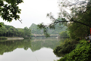 宁静河畔的自然山水风光