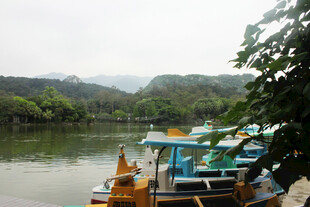 湖畔多彩船只停靠美景