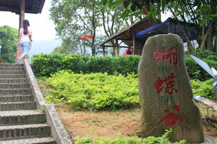 景区石碑与周边景致