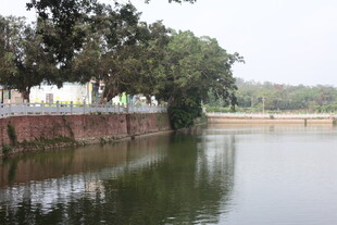 湛江河畔绿树环绕的宁静水域