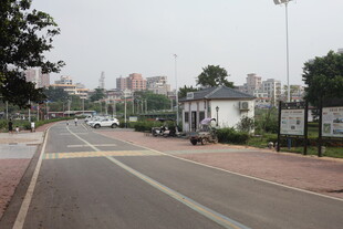 湛江城市道路旁的建筑与景观