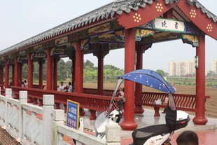 湛江古廊桥上的撑伞游客