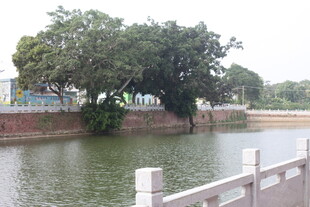 湛江湖畔绿树环绕的宁静景致