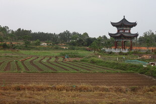 湛江田园古塔 静谧乡村风光