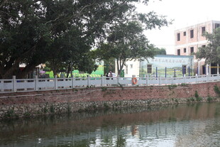 湛江河边景致 绿树建筑映水中