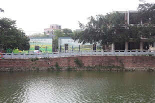 湛江河边城市景观